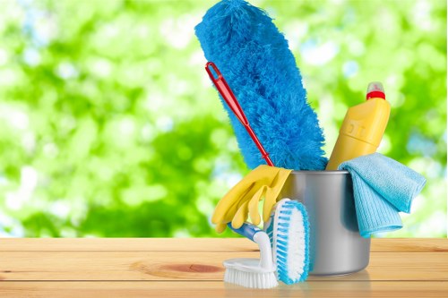 Professional office cleaners working in a Clapham workplace reception area