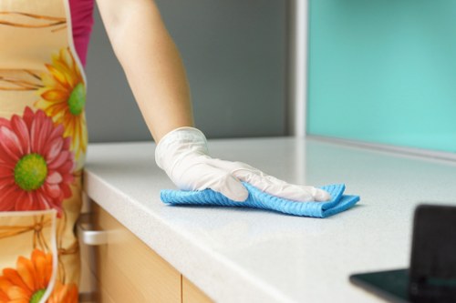 Kitchen appliance deep cleaning by an oven cleaner in Clapham