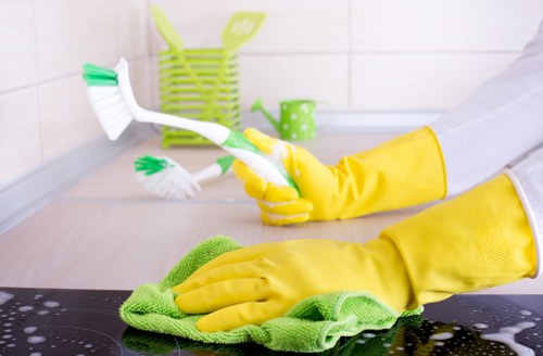 Kitchen cleaning service in a Clapham home