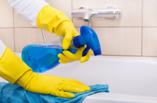 Professional cleaner assessing a carpet before treatment