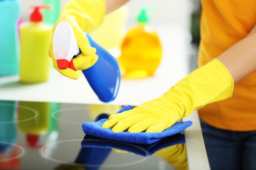 Bathroom deep cleaning in Clapham property