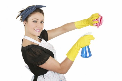 Fabric type and cleaning decision information for carpets