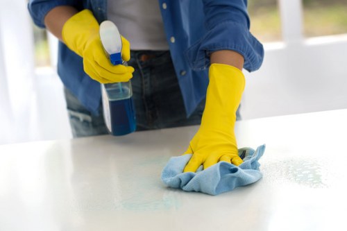 Kitchen deep cleaning service in Clapham