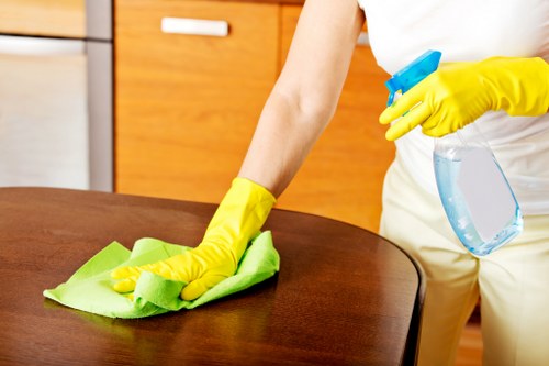 Professional Clapham cleaner for homes and apartments